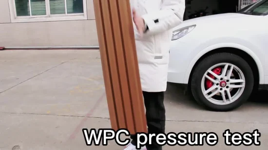 中国工場 WPC 共押出クラッディング パネル万里の長城 WPC スラット クラッディング パネル